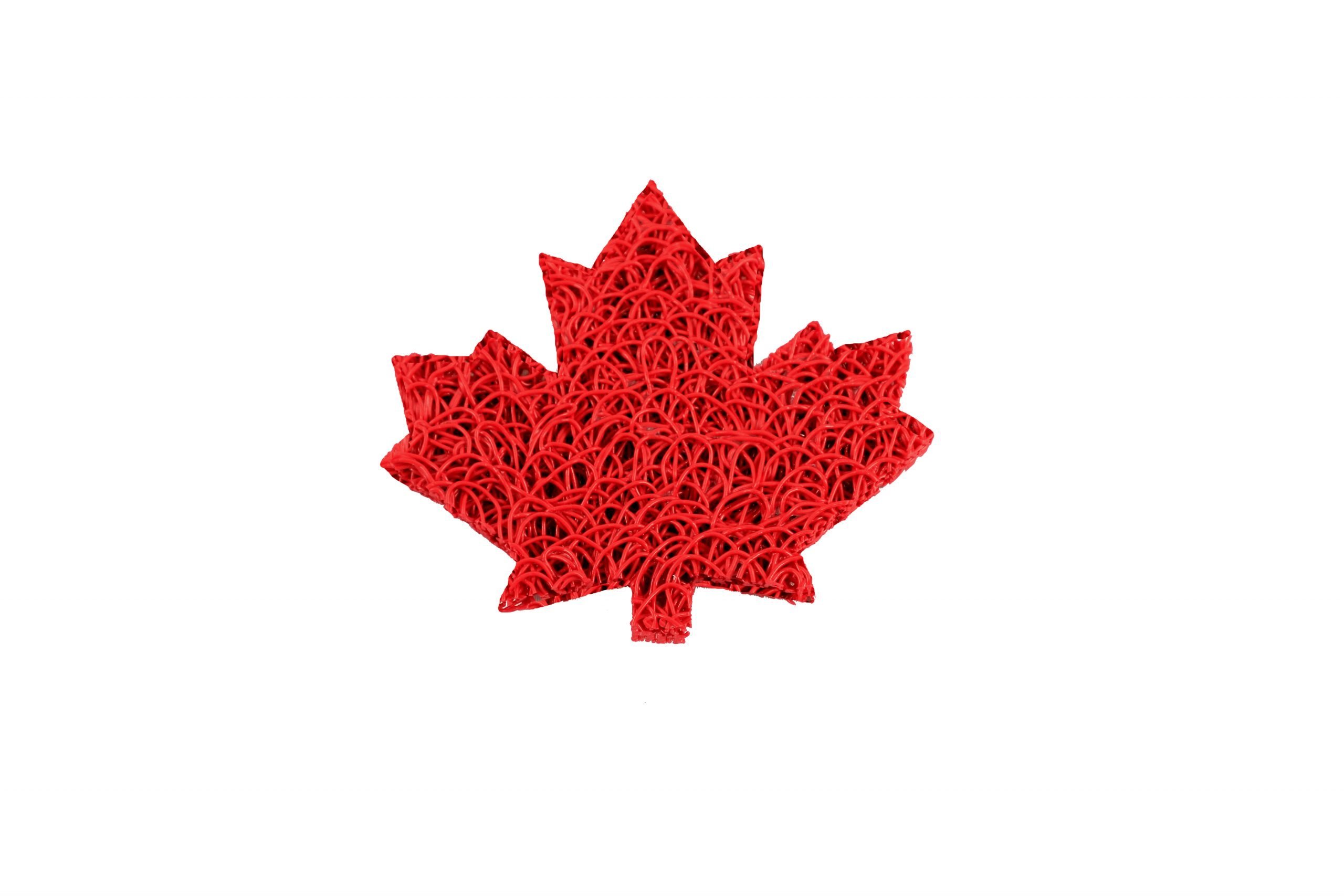 SoapLift Maple Leaf